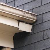 #17 Gutters (damage to fascia due to clogged gutters)